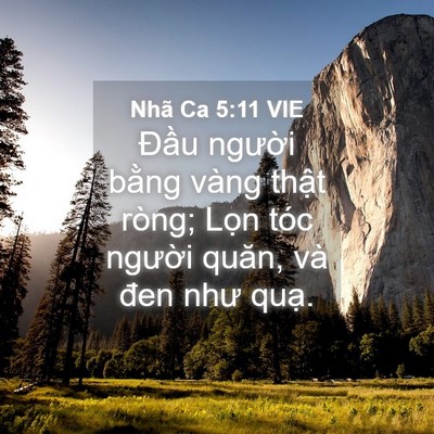 Picture 04 - Nhã Ca 5:11 VIE - Đầu người bằng vàng thật ròng; Lọn - Bible Verse Picture