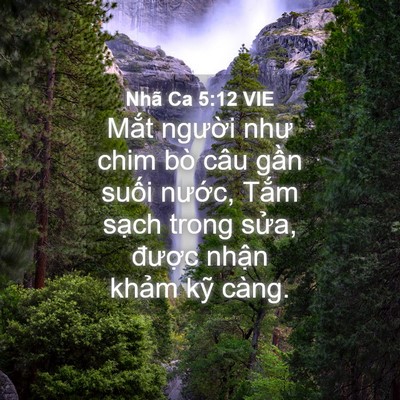Picture 04 - Nhã Ca 5:12 VIE - Mắt người như chim bò câu gần suối - Bible Verse Picture