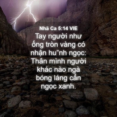 Picture 04 - Nhã Ca 5:14 VIE - Tay người như ống tròn vàng có nhận - Bible Verse Picture