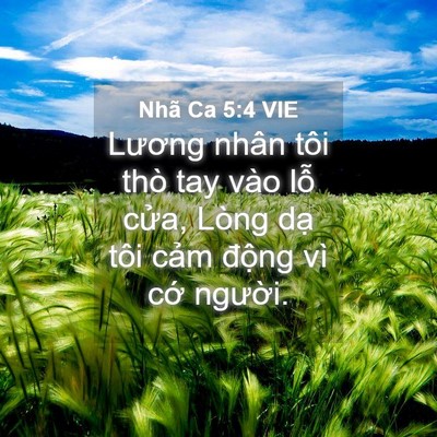 Picture 04 - Nhã Ca 5:4 VIE - Lương nhân tôi thò tay vào lỗ cửa, - Bible Verse Picture