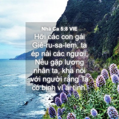 Picture 04 - Nhã Ca 5:8 VIE - Hỡi các con gái Giê-ru-sa-lem, ta ép nài - Bible Verse Picture