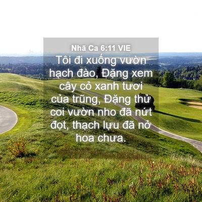 Picture 04 - Nhã Ca 6:11 VIE - Tôi đi xuống vườn hạch đào, Đặng - Bible Verse Picture