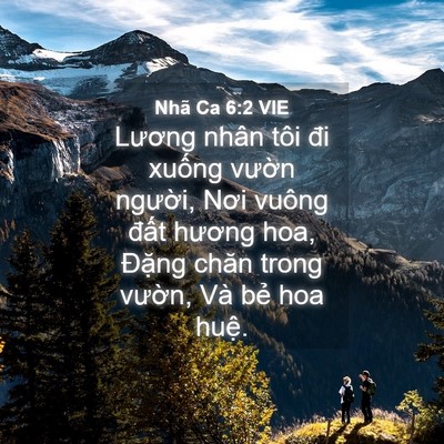 Picture 04 - Nhã Ca 6:2 VIE - Lương nhân tôi đi xuống vườn người, - Bible Verse Picture