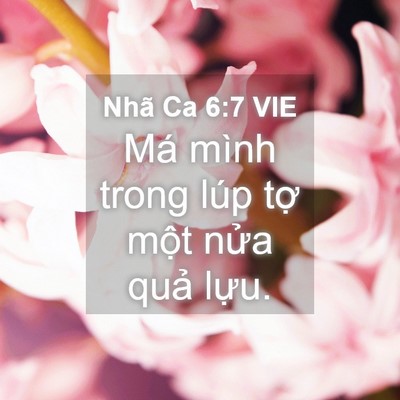 Picture 04 - Nhã Ca 6:7 VIE - Má mình trong lúp tợ một nửa quả - Bible Verse Picture