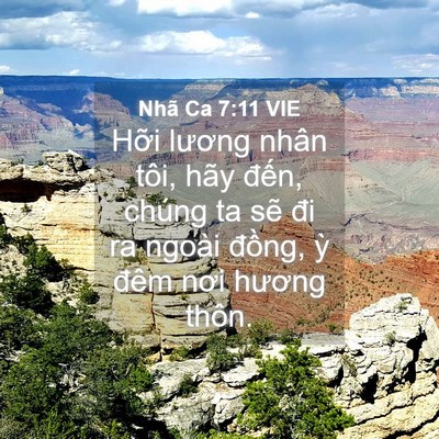 Picture 04 - Nhã Ca 7:11 VIE - Hỡi lương nhân tôi, hãy đến, chúng ta - Bible Verse Picture