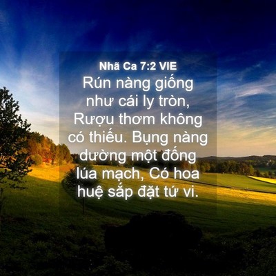 Picture 04 - Nhã Ca 7:2 VIE - Rún nàng giống như cái ly tròn, Rượu - Bible Verse Picture
