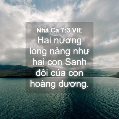 Picture 04 - Nhã Ca 7:3 VIE - Hai nương long nàng như hai con Sanh đôi - Bible Verse Picture