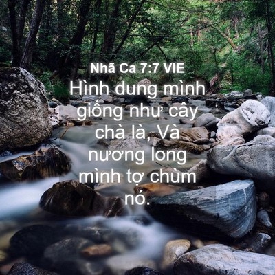 Picture 04 - Nhã Ca 7:7 VIE - Hình dung mình giống như cây chà là, Và - Bible Verse Picture