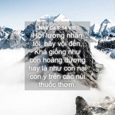 Picture 04 - Nhã Ca 8:14 VIE - Hỡi lương nhân tôi, hãy vội đến, Khá - Bible Verse Picture