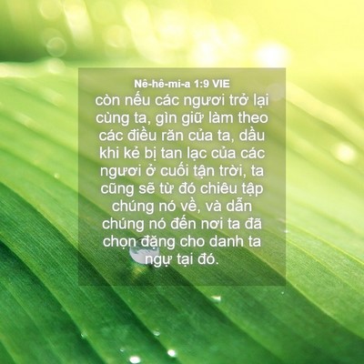 Picture 04 - Nê-hê-mi-a 1:9 VIE - còn nếu các ngươi trở lại cùng ta, - Bible Verse Picture