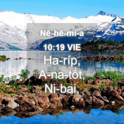 Picture 04 - Nê-hê-mi-a 10:19 VIE - Ha-ríp, A-na-tốt, - Bible Verse Picture