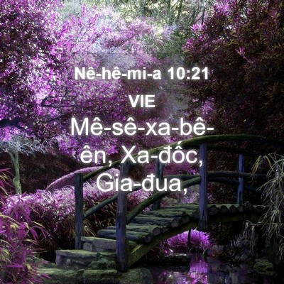Picture 04 - Nê-hê-mi-a 10:21 VIE - Mê-sê-xa-bê-ên, Xa-đốc, - Bible Verse Picture