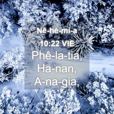 Picture 04 - Nê-hê-mi-a 10:22 VIE - Phê-la-tia, Ha-nan, - Bible Verse Picture