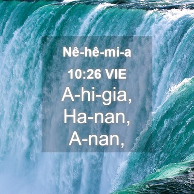 Picture 04 - Nê-hê-mi-a 10:26 VIE - A-hi-gia, Ha-nan, - Bible Verse Picture