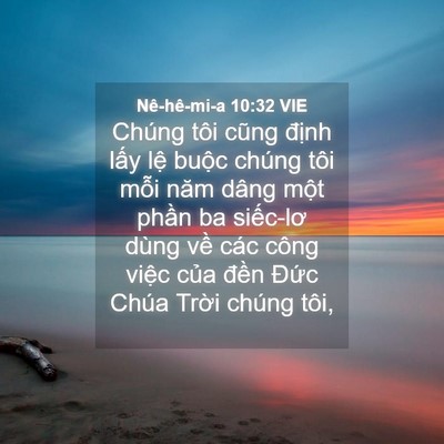 Picture 04 - Nê-hê-mi-a 10:32 VIE - Chúng tôi cũng định lấy lệ buộc - Bible Verse Picture