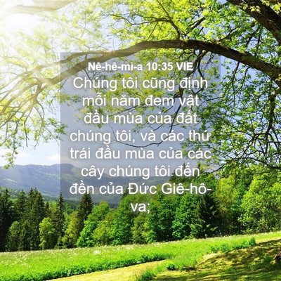 Picture 04 - Nê-hê-mi-a 10:35 VIE - Chúng tôi cũng định mỗi năm đem vật - Bible Verse Picture