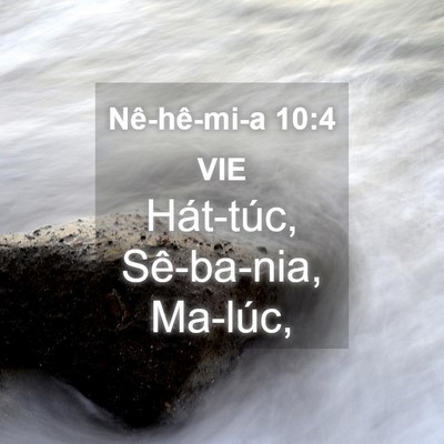 Picture 04 - Nê-hê-mi-a 10:4 VIE - Hát-túc, Sê-ba-nia, - Bible Verse Picture