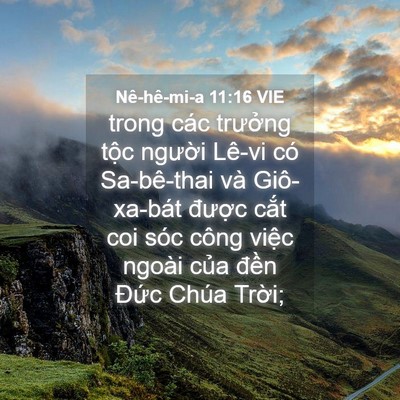Picture 04 - Nê-hê-mi-a 11:16 VIE - trong các trưởng tộc người Lê-vi có - Bible Verse Picture