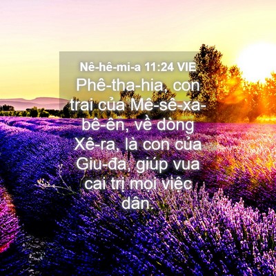 Picture 04 - Nê-hê-mi-a 11:24 VIE - Phê-tha-hia, con trai của Mê-sê-xa-bê-ên, - Bible Verse Picture