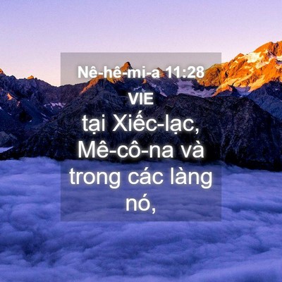 Picture 04 - Nê-hê-mi-a 11:28 VIE - tại Xiếc-lạc, Mê-cô-na và trong các - Bible Verse Picture