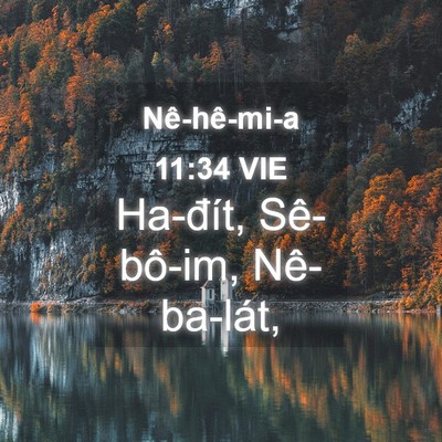 Picture 04 - Nê-hê-mi-a 11:34 VIE - Ha-đít, Sê-bô-im, - Bible Verse Picture