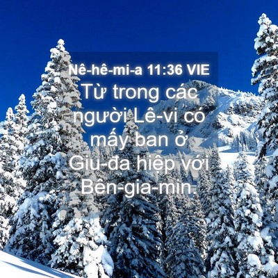Picture 04 - Nê-hê-mi-a 11:36 VIE - Từ trong các người Lê-vi có mấy ban ở - Bible Verse Picture