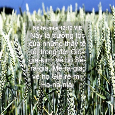 Picture 04 - Nê-hê-mi-a 12:12 VIE - Nầy là trưởng tộc của những thầy - Bible Verse Picture