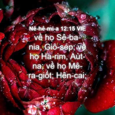 Picture 04 - Nê-hê-mi-a 12:15 VIE - về họ Sê-ba-nia, Giô-sép; về họ - Bible Verse Picture