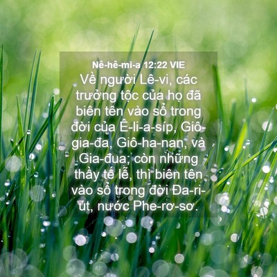 Picture 04 - Nê-hê-mi-a 12:22 VIE - Về người Lê-vi, các trưởng tộc của - Bible Verse Picture