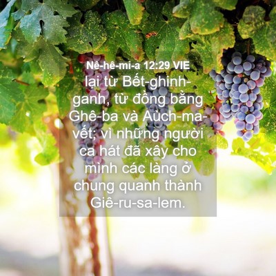 Picture 04 - Nê-hê-mi-a 12:29 VIE - lại từ Bết-ghinh-ganh, từ đồng bằng - Bible Verse Picture