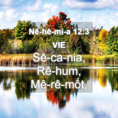 Picture 04 - Nê-hê-mi-a 12:3 VIE - Sê-ca-nia, Rê-hum, - Bible Verse Picture