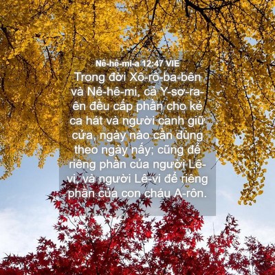 Picture 04 - Nê-hê-mi-a 12:47 VIE - Trong đời Xô-rô-ba-bên và Nê-hê-mi, cả - Bible Verse Picture