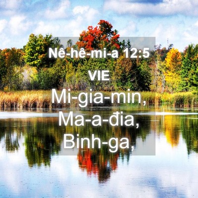 Picture 04 - Nê-hê-mi-a 12:5 VIE - Mi-gia-min, Ma-a-đia, - Bible Verse Picture