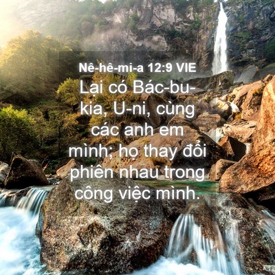 Picture 04 - Nê-hê-mi-a 12:9 VIE - Lại có Bác-bu-kia, U-ni, cùng các anh em - Bible Verse Picture