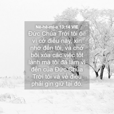 Picture 04 - Nê-hê-mi-a 13:14 VIE - Đức Chúa Trời tôi ôi! vì cớ điều - Bible Verse Picture