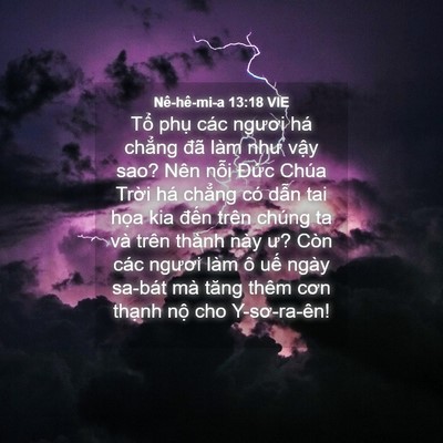 Picture 04 - Nê-hê-mi-a 13:18 VIE - Tổ phụ các ngươi há chẳng đã làm - Bible Verse Picture