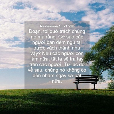 Picture 04 - Nê-hê-mi-a 13:21 VIE - Đoạn, tôi quở trách chúng nó mà rằng: - Bible Verse Picture