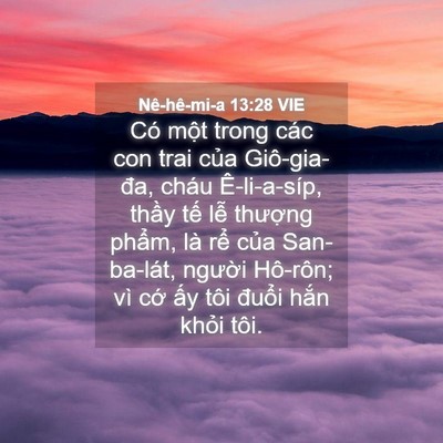 Picture 04 - Nê-hê-mi-a 13:28 VIE - Có một trong các con trai của Giô-gia-đa, - Bible Verse Picture