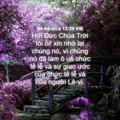 Picture 04 - Nê-hê-mi-a 13:29 VIE - Hỡi Đức Chúa Trời tôi ôi! xin nhớ - Bible Verse Picture