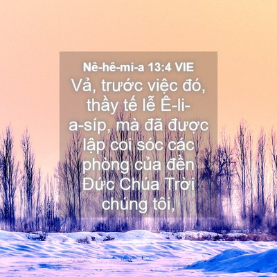 Picture 04 - Nê-hê-mi-a 13:4 VIE - Vả, trước việc đó, thầy tế lễ - Bible Verse Picture