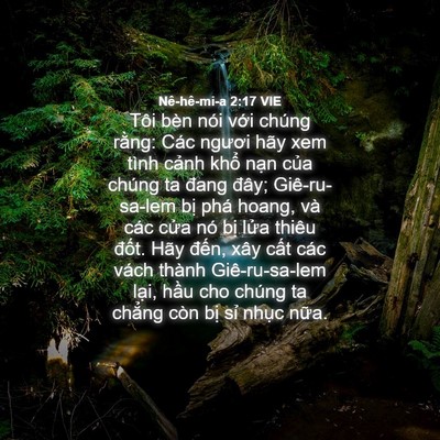 Picture 04 - Nê-hê-mi-a 2:17 VIE - Tôi bèn nói với chúng rằng: Các ngươi - Bible Verse Picture