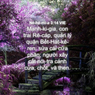 Picture 04 - Nê-hê-mi-a 3:14 VIE - Manh-ki-gia, con trai Rê-cáp, quản lý quận - Bible Verse Picture