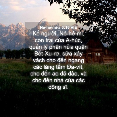 Picture 04 - Nê-hê-mi-a 3:16 VIE - Kế người, Nê-hê-mi, con trai của A-húc, - Bible Verse Picture