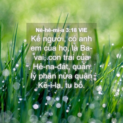 Picture 04 - Nê-hê-mi-a 3:18 VIE - Kế người, có anh em của họ, là Ba-vai, - Bible Verse Picture