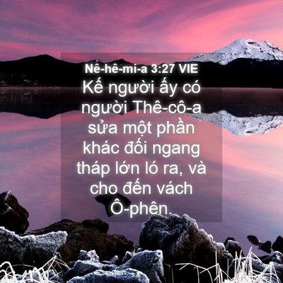 Picture 04 - Nê-hê-mi-a 3:27 VIE - Kế người ấy có người Thê-cô-a sửa - Bible Verse Picture