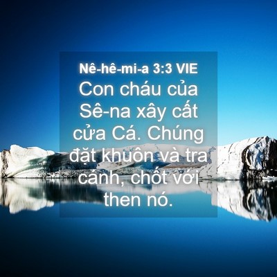 Picture 04 - Nê-hê-mi-a 3:3 VIE - Con cháu của Sê-na xây cất cửa Cá. - Bible Verse Picture