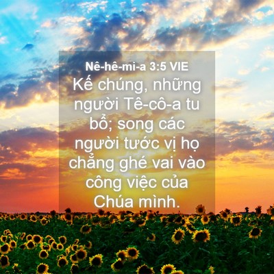 Picture 04 - Nê-hê-mi-a 3:5 VIE - Kế chúng, những người Tê-cô-a tu bổ; - Bible Verse Picture
