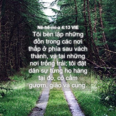 Picture 04 - Nê-hê-mi-a 4:13 VIE - Tôi bèn lập những đồn trong các nơi - Bible Verse Picture