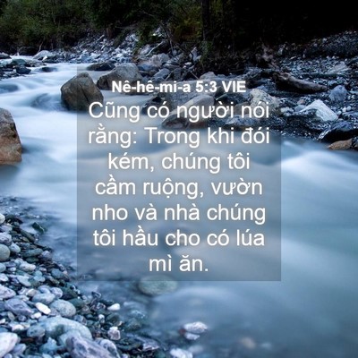 Picture 04 - Nê-hê-mi-a 5:3 VIE - Cũng có người nói rằng: Trong khi đói - Bible Verse Picture