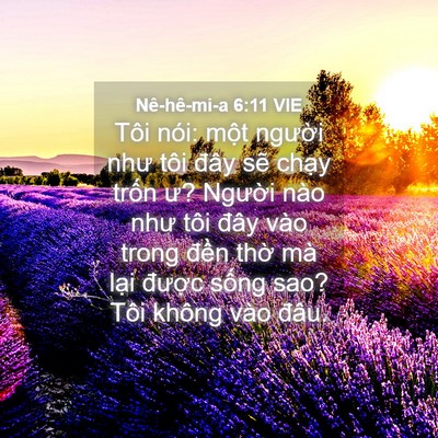 Picture 04 - Nê-hê-mi-a 6:11 VIE - Tôi nói: một người như tôi đây sẽ - Bible Verse Picture